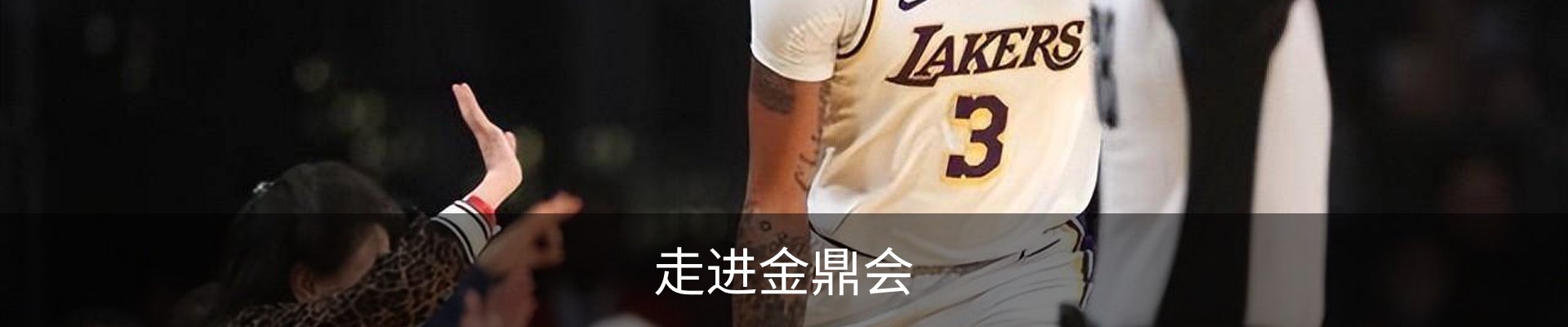 走进金鼎会